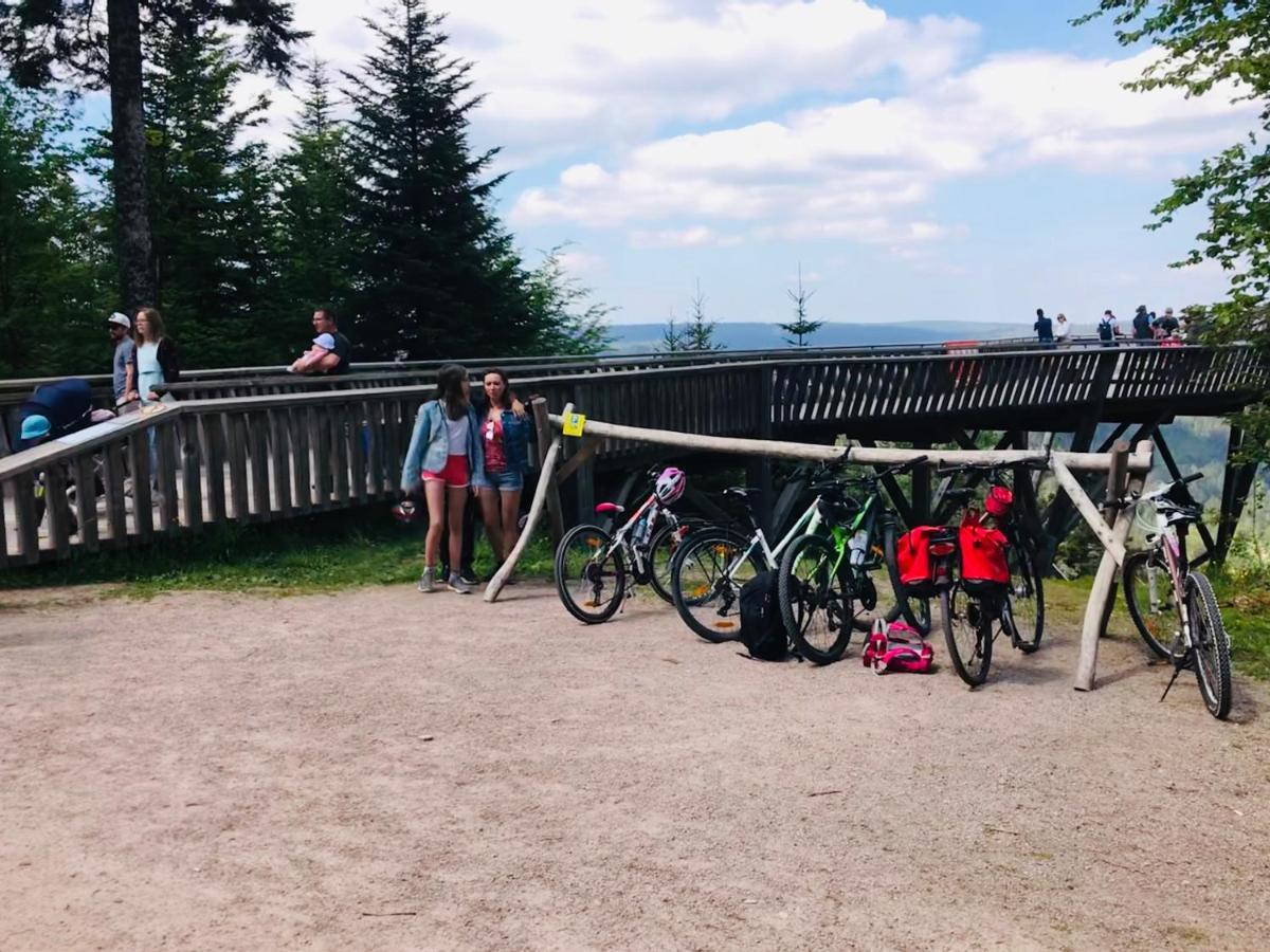 Haus Jenni Im Schwarzwald, 3,5-Zimmer, Grosse Terrasse Freudenstadt Buitenkant foto