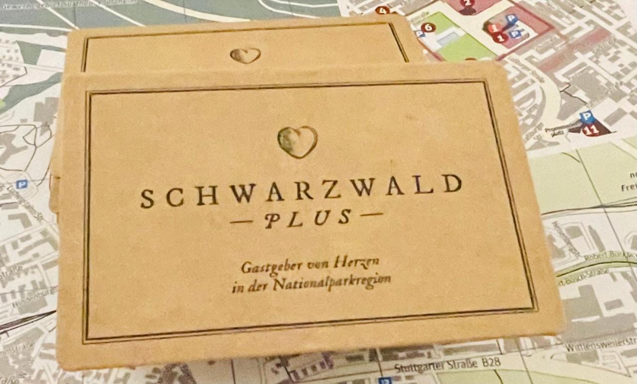 Haus Jenni Im Schwarzwald, 3,5-Zimmer, Grosse Terrasse Freudenstadt Buitenkant foto